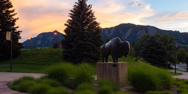 A statue of Ralphie at sunset with the Flatirons in the background
